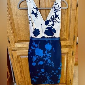 NWT Ted Baker Bluebell Cocktail Dress